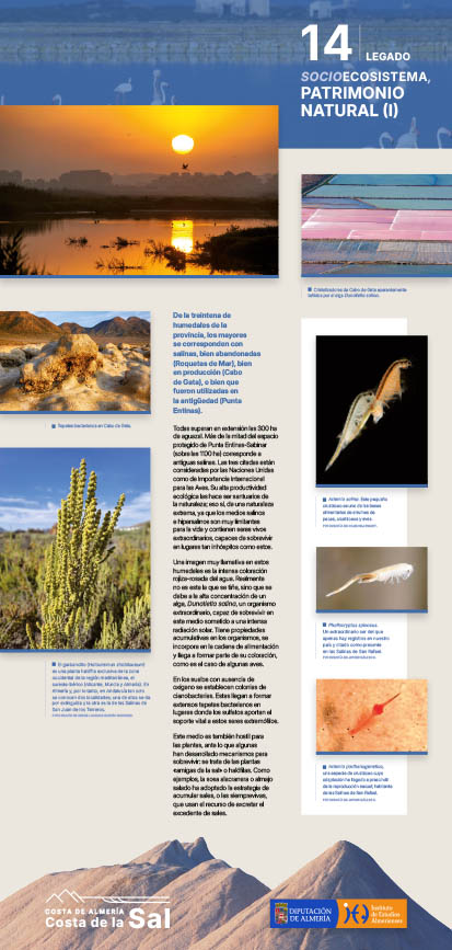 Exposición Costa de la Sal, panel 14